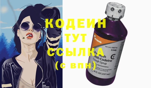 сатива Осташков