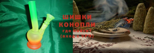 сатива Осташков