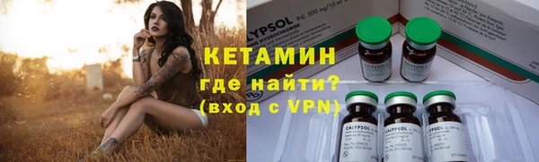 сатива Осташков