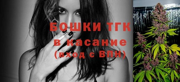 твердый Нягань