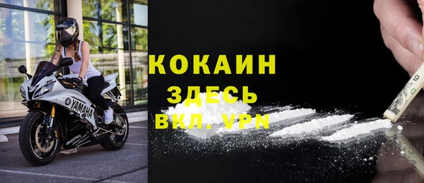 сатива Осташков