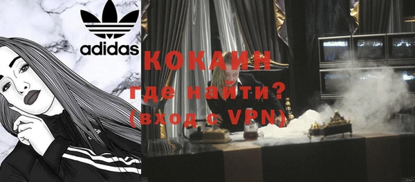 дурь Няндома