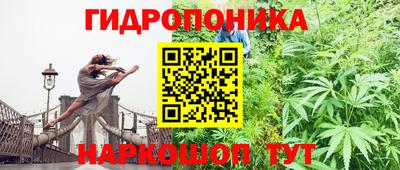 стафф Абакан
