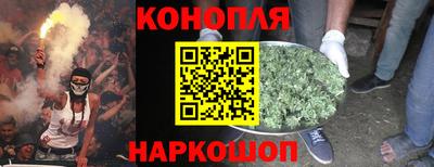 шишки Абинск