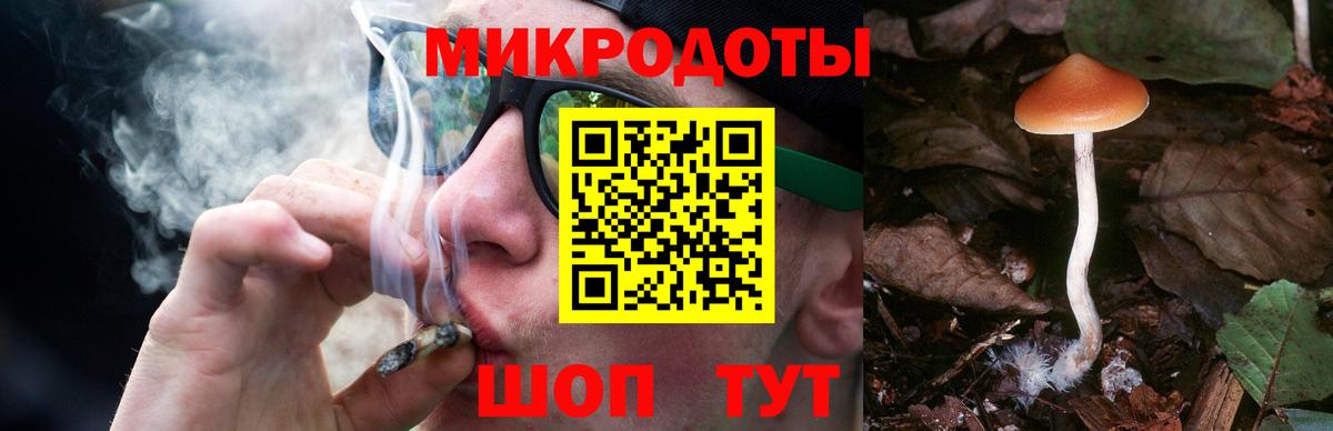 Псилоцибиновые грибы ЛСД Алушта
